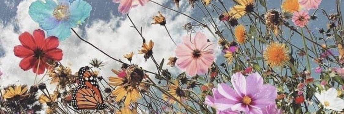 letiarenee's profile banner image