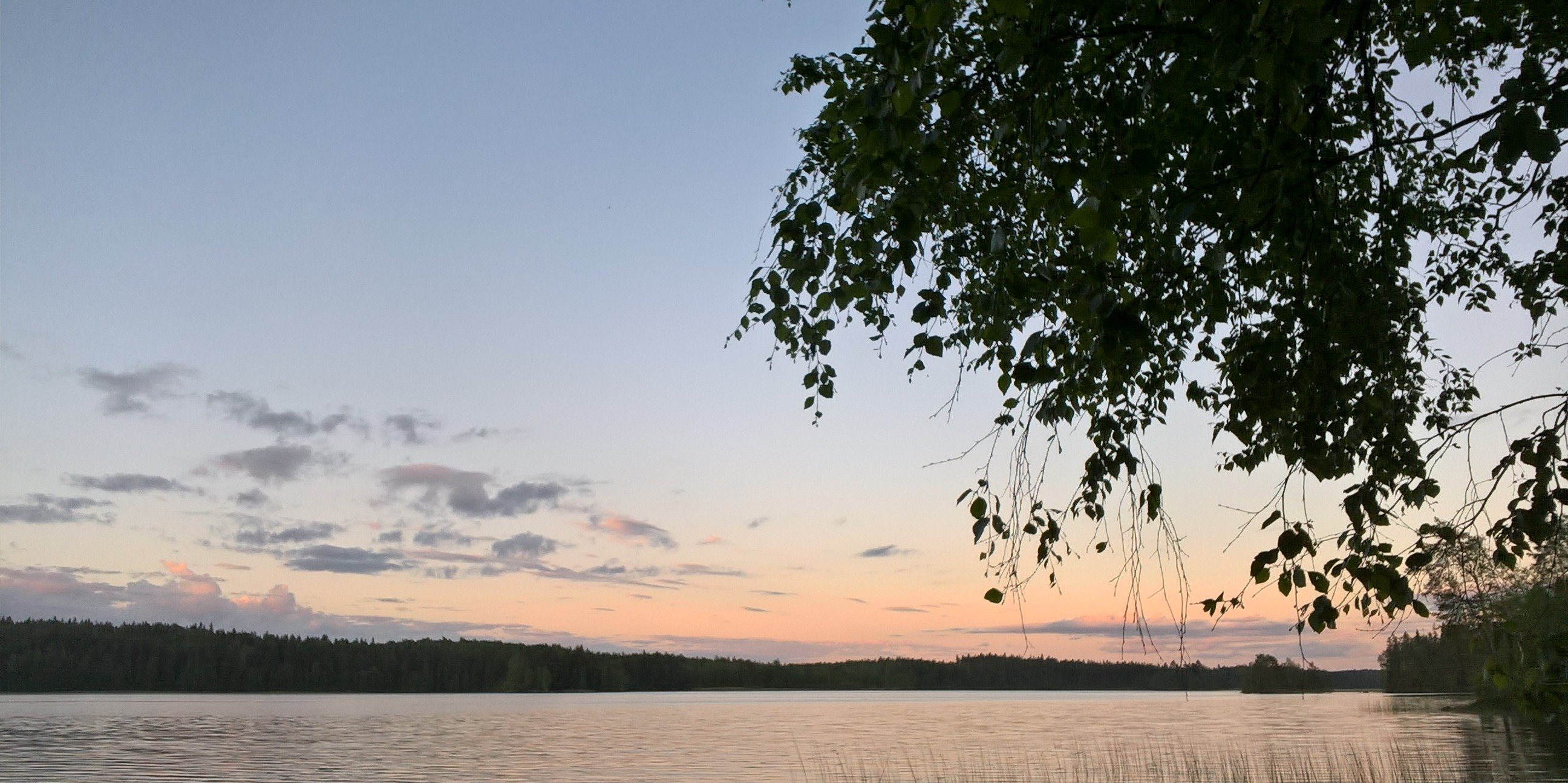 TVehmala's profile banner image