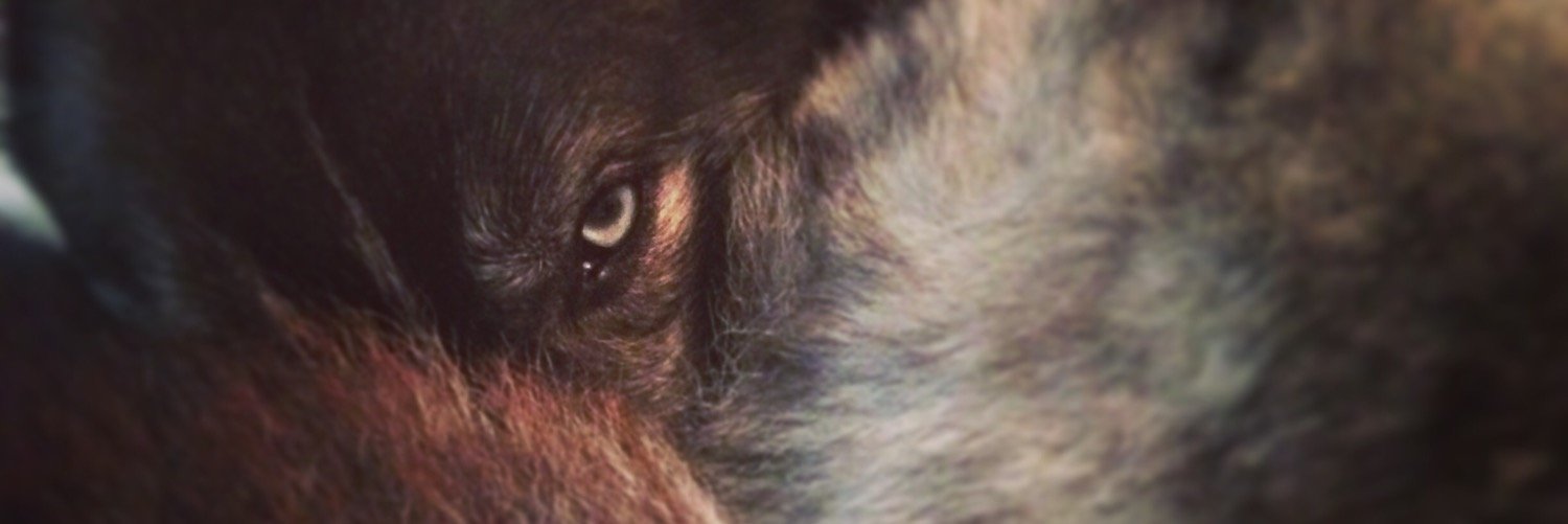 ruthymitch's profile banner image