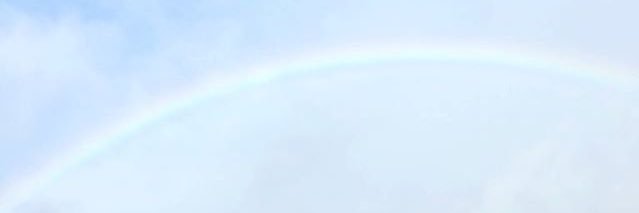 Charlotte Clowes banner