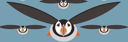 The Tipsy Puffin 🥴 🏴󠁧󠁢󠁳󠁣󠁴󠁿 🇪🇺 banner