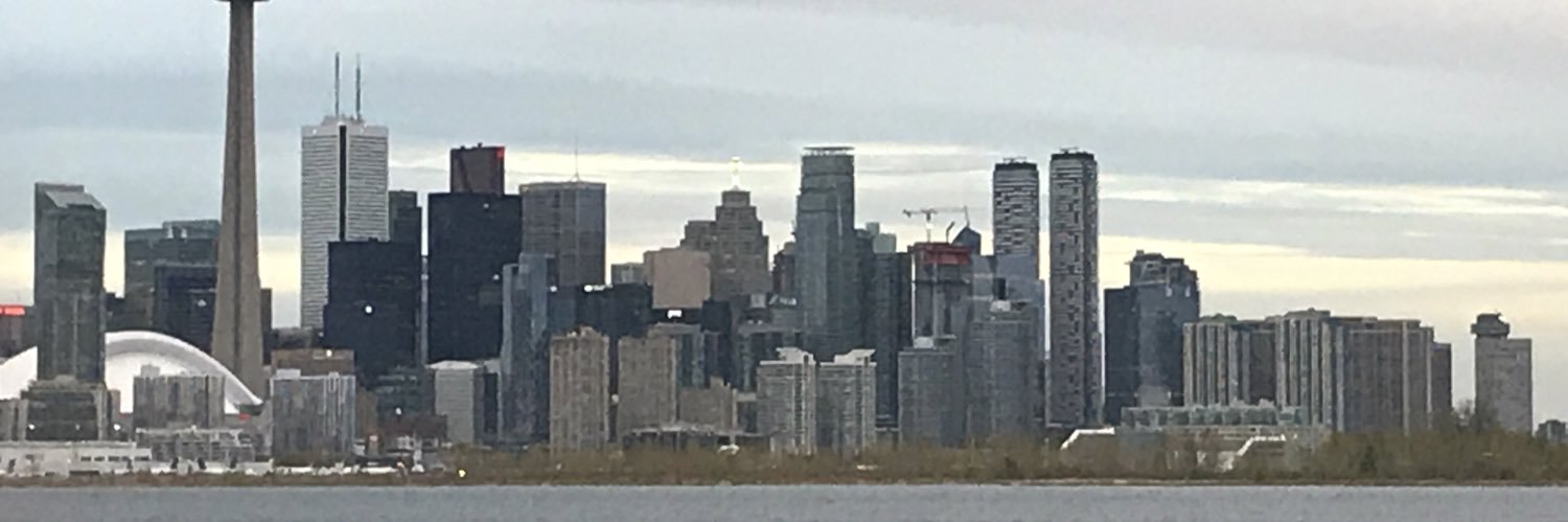 Dr Naseeruddin Mahmood banner