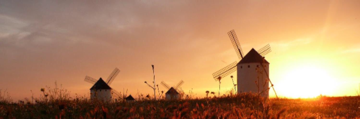 Rosa 😎 #NT Madrid 🇪🇸 banner