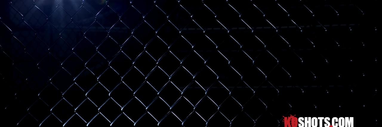 bflmma's profile banner image