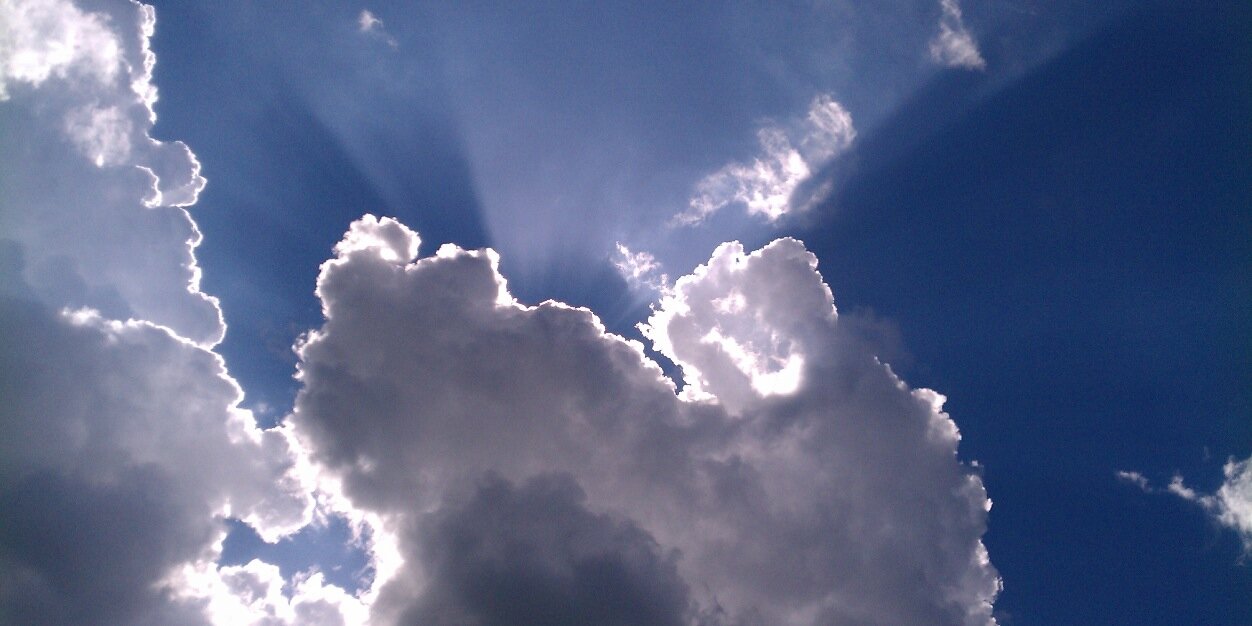 Elizabeth O. Garza banner