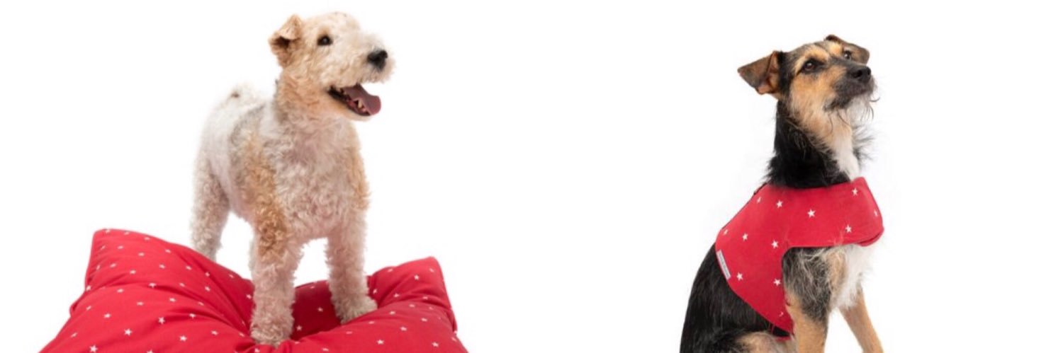 sarah kirk banner