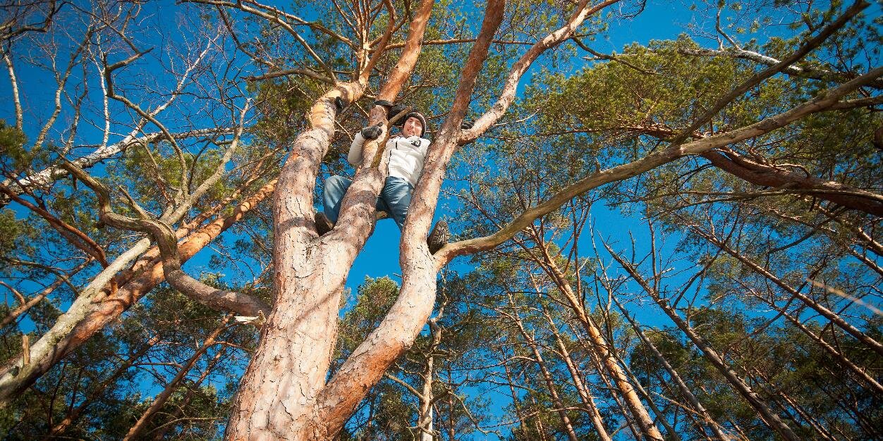 Zigmunds Fricsons banner