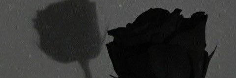 Littlewitch banner