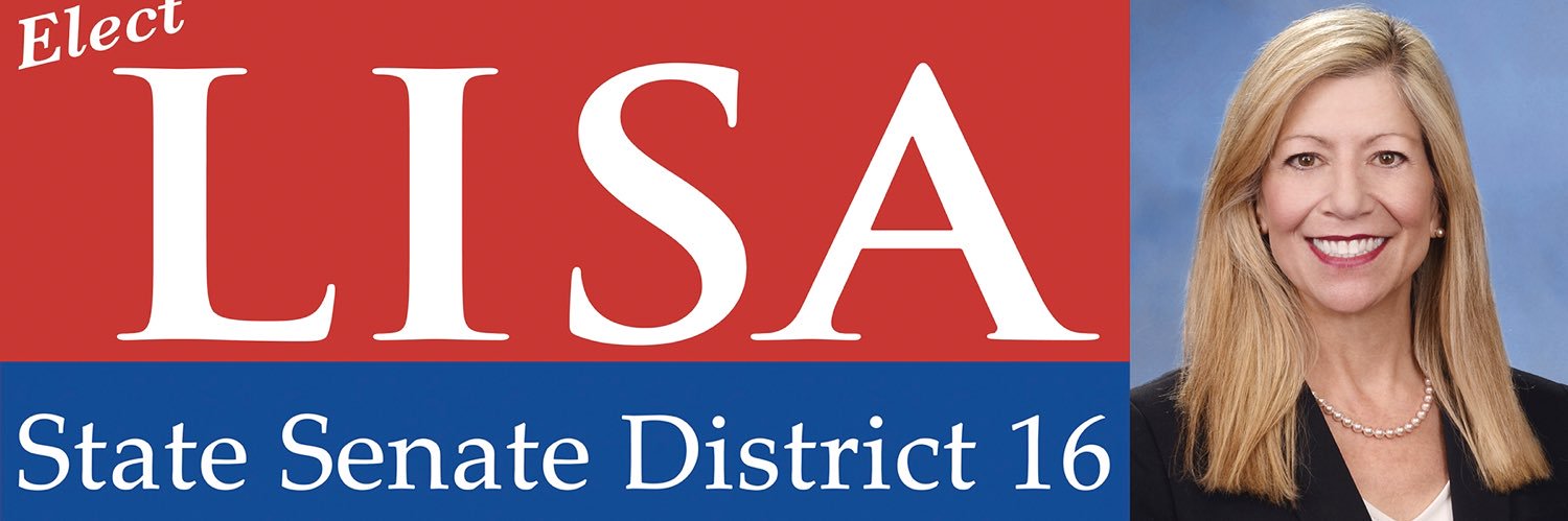 Lisa Krasner, JD; BA banner