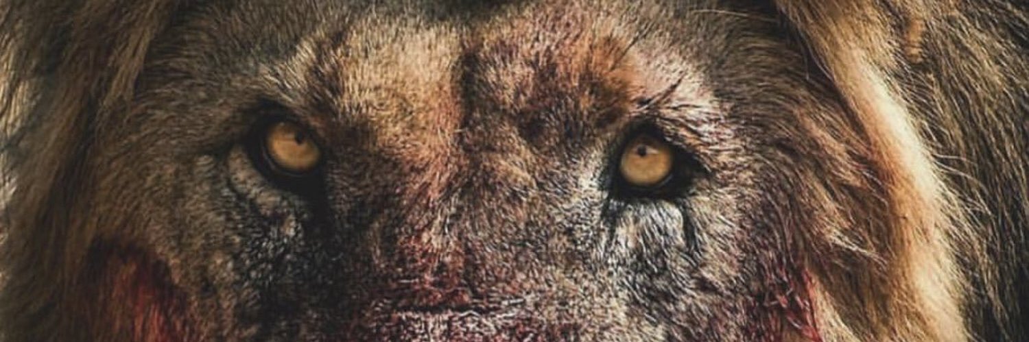 _evansiegner_'s profile banner image