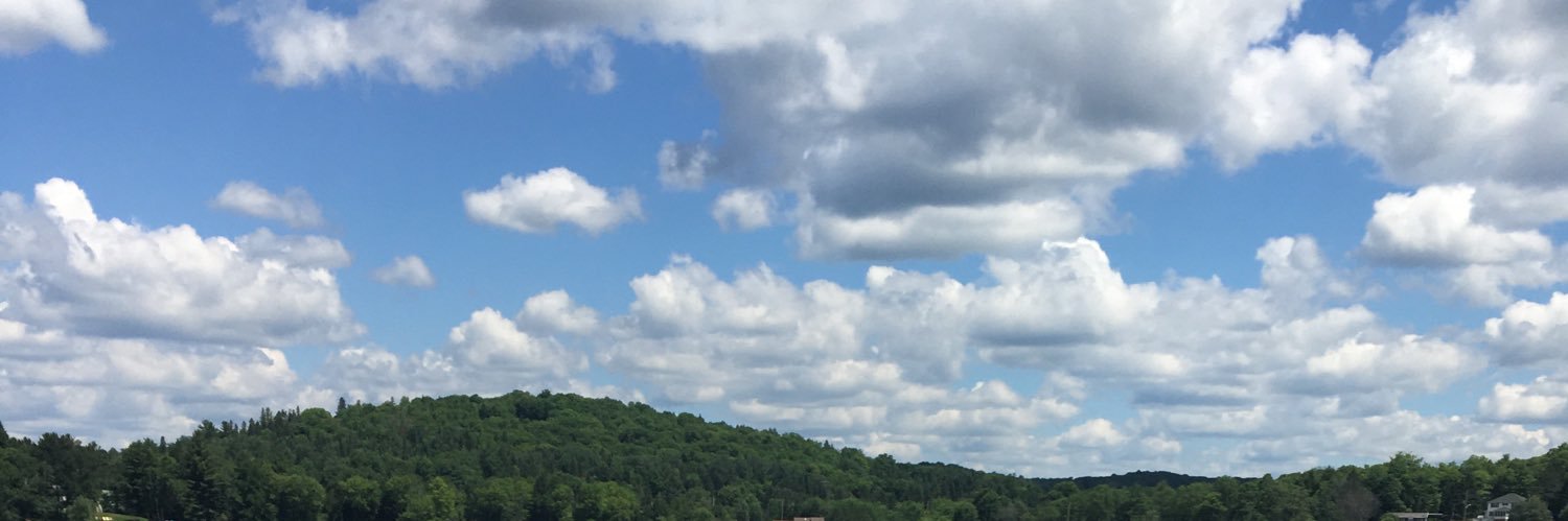 Kate Bernardi banner