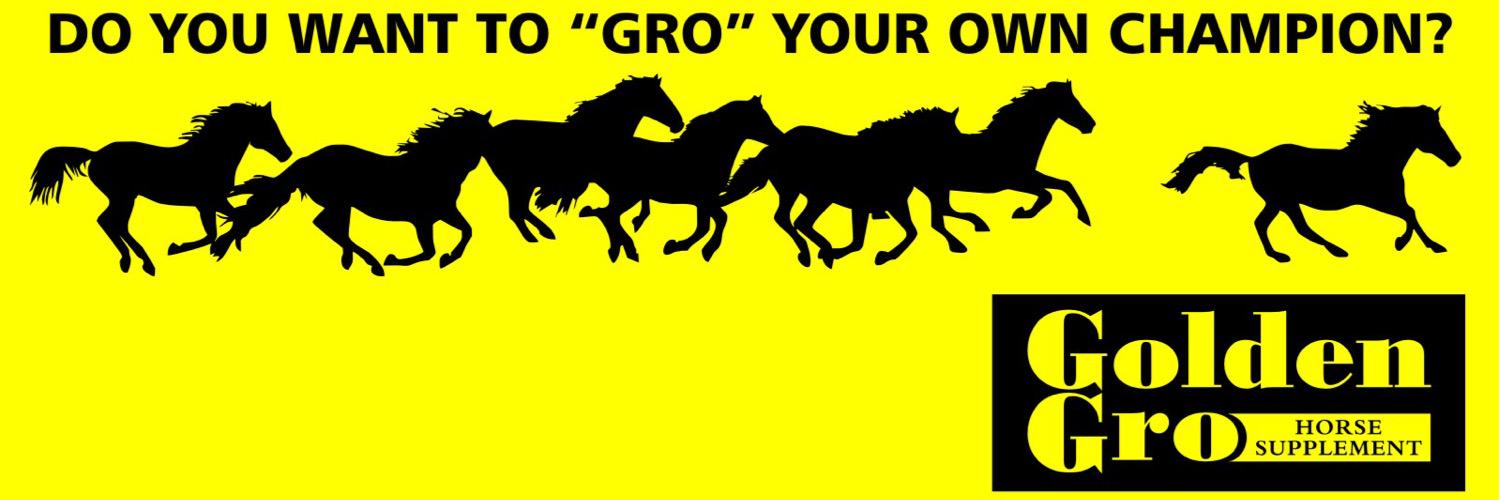 GroYourOwnChamp's profile banner image