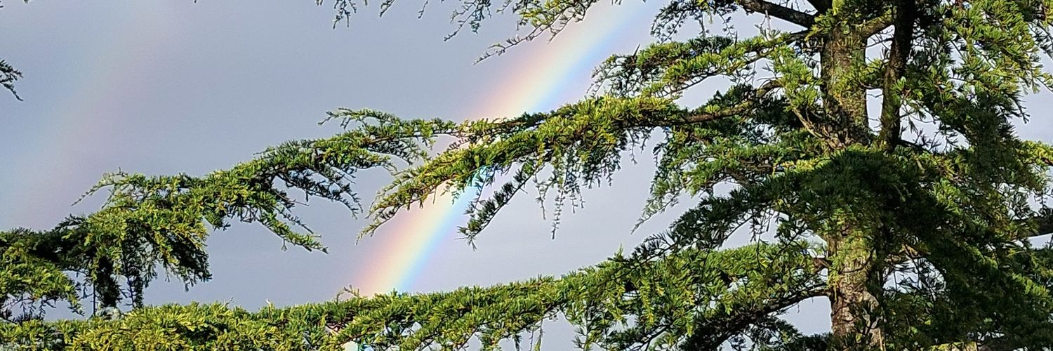 macaone_26's profile banner image