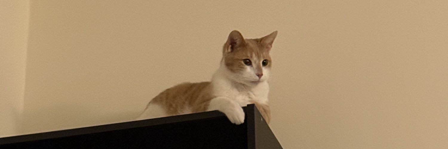 tjmuls's profile banner image