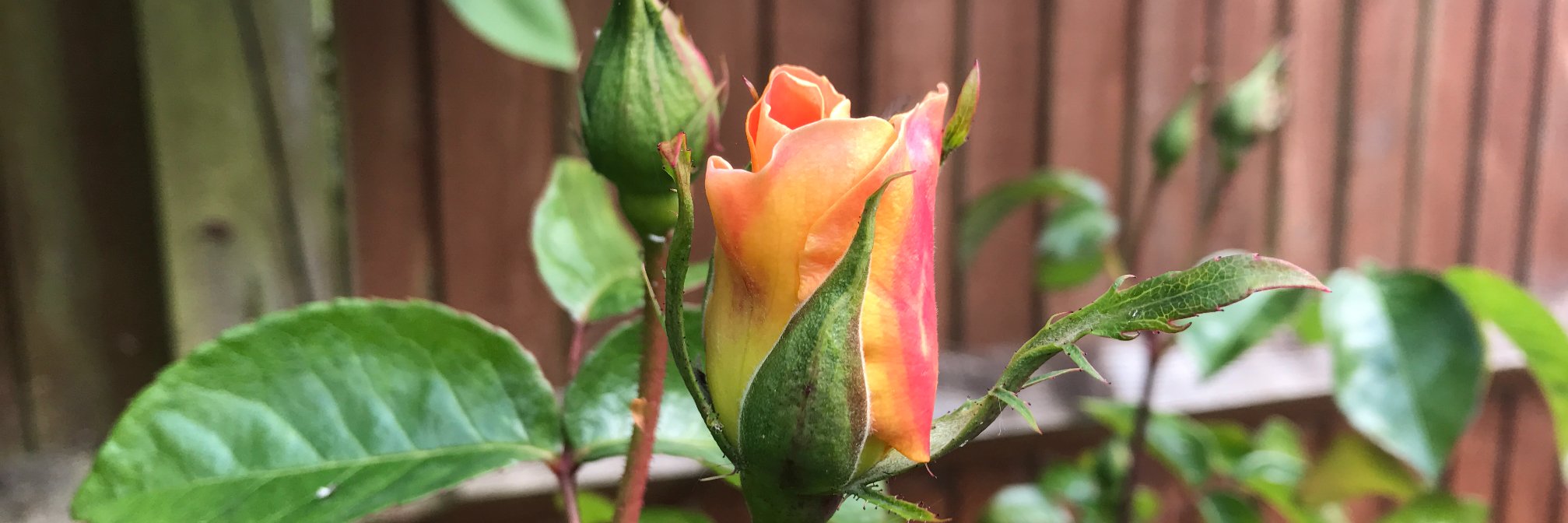 Mark Kendall Artists banner