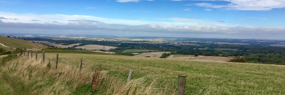 Farmer Bea banner
