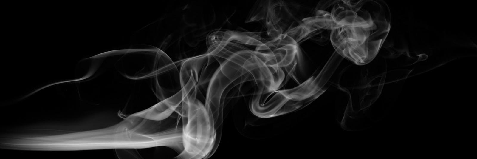 Ale LmN banner