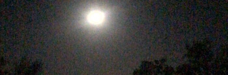 gblw_'s profile banner image