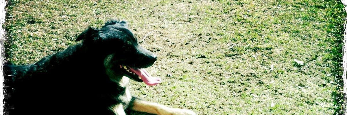 tkreutner's profile banner image