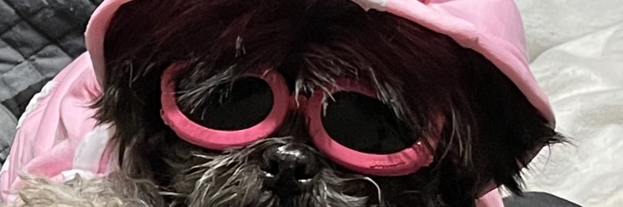 danbulthuis's profile banner image