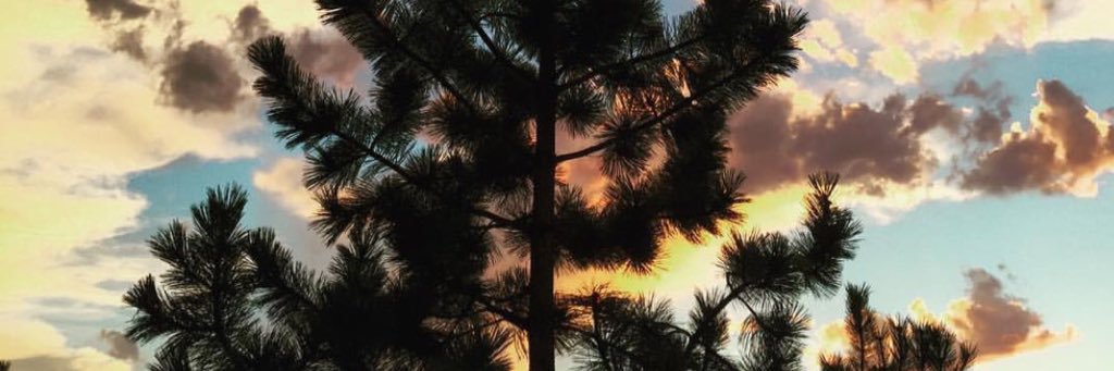 tkbailey1994's profile banner image