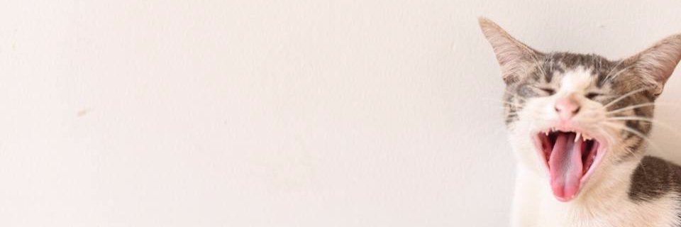 Muk_Ac's profile banner image