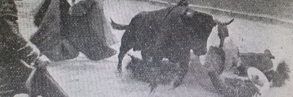 frantrapiotoros Profile Banner