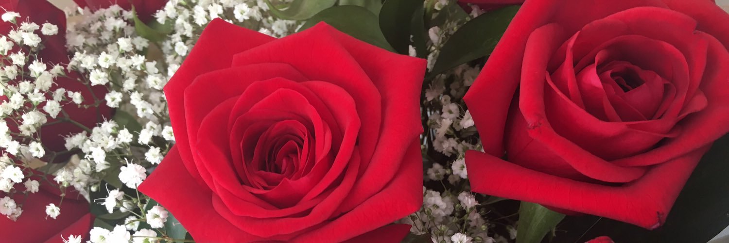 _Natalie_B_'s profile banner image