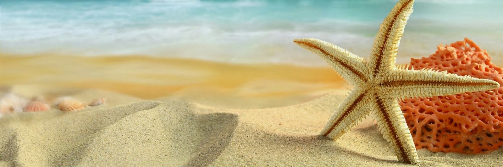 GhalibAlSaidi's profile banner image
