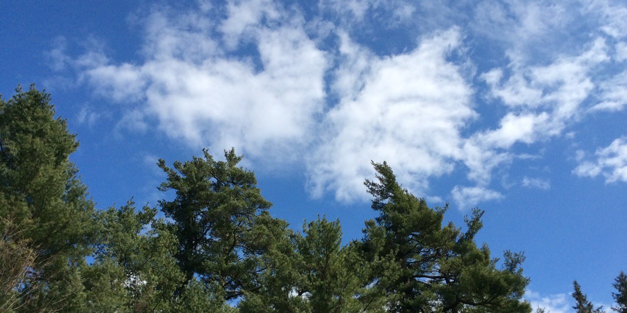 lynn_corbett's profile banner image