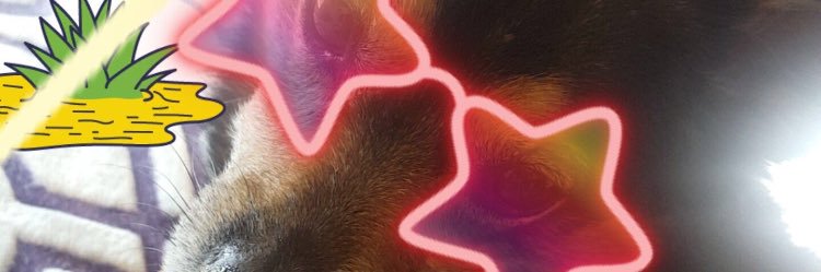 Maggieomalley16's profile banner image