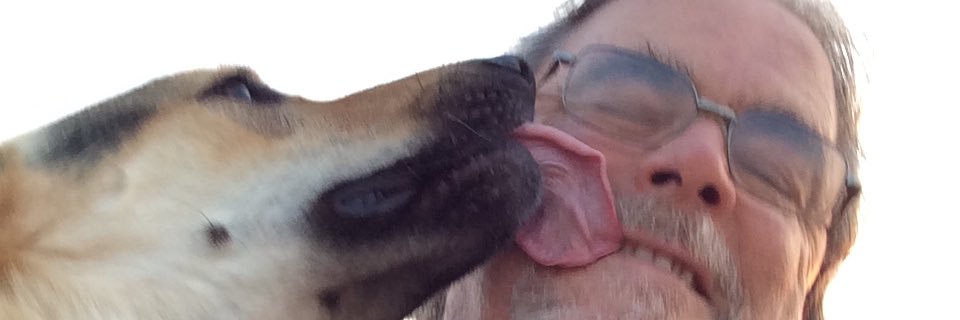 Domasi42's profile banner image
