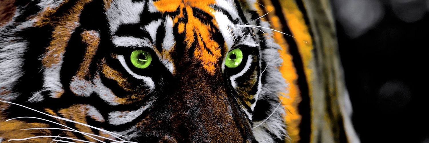 melissatelman's profile banner image