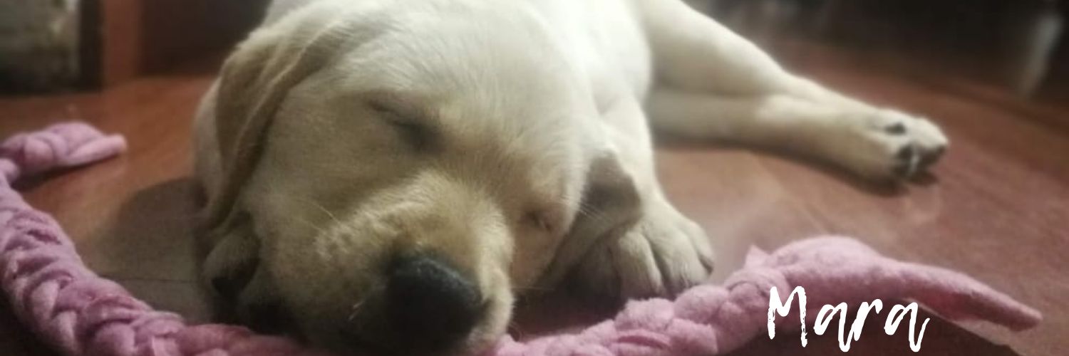 Nanes92's profile banner image
