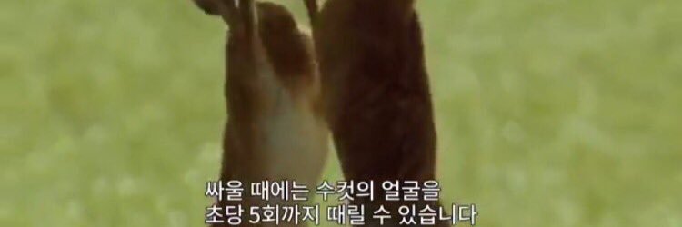 1️⃣💙 엘 #DankeSeb banner