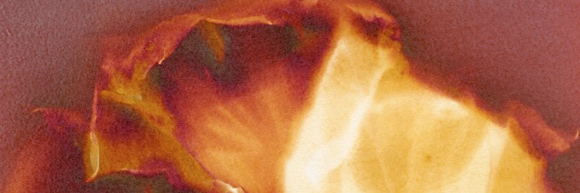 melocke's profile banner image