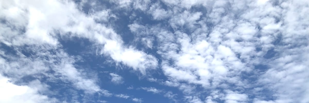 bubulcumcums's profile banner image
