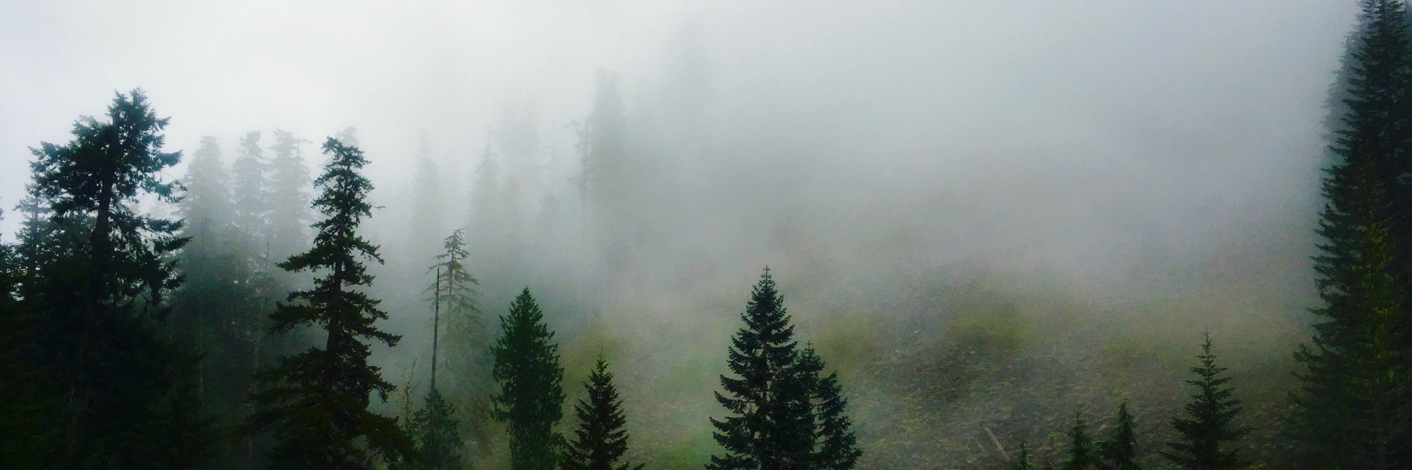 PNW_Doug's profile banner image