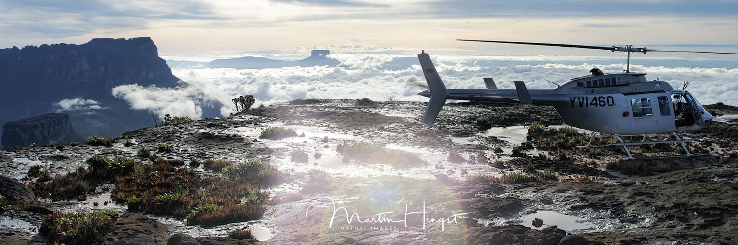 Martin Hingst banner