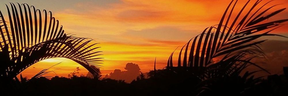 silvialdrn's profile banner image