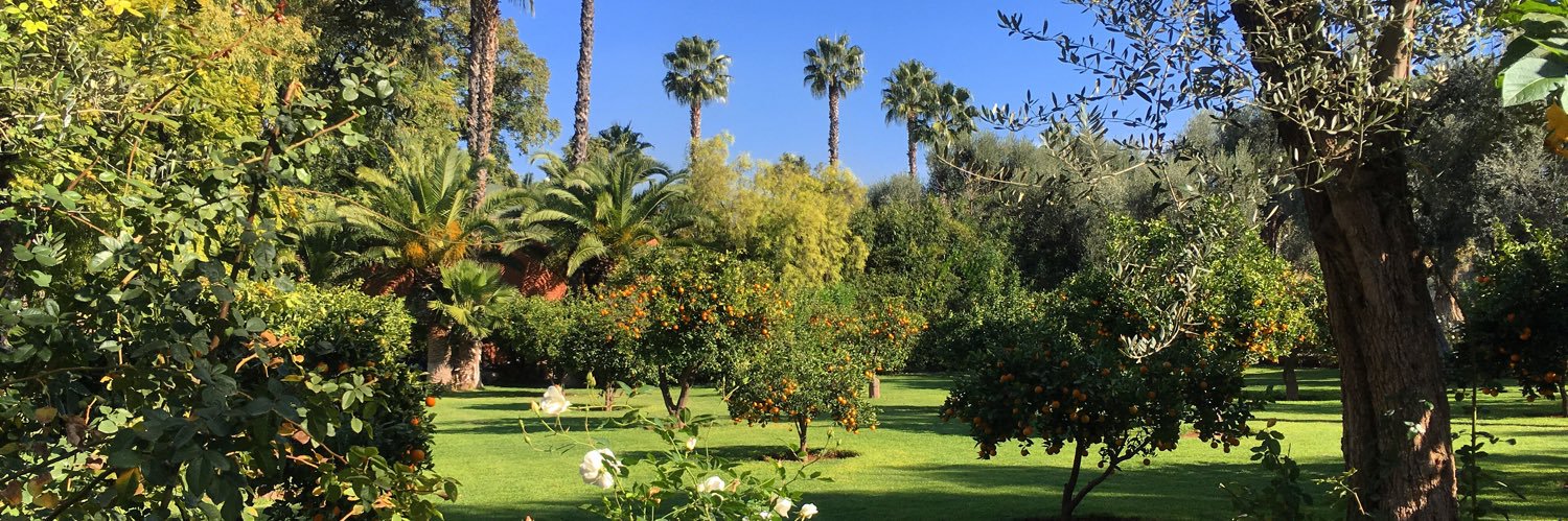 Glesni Roberts banner