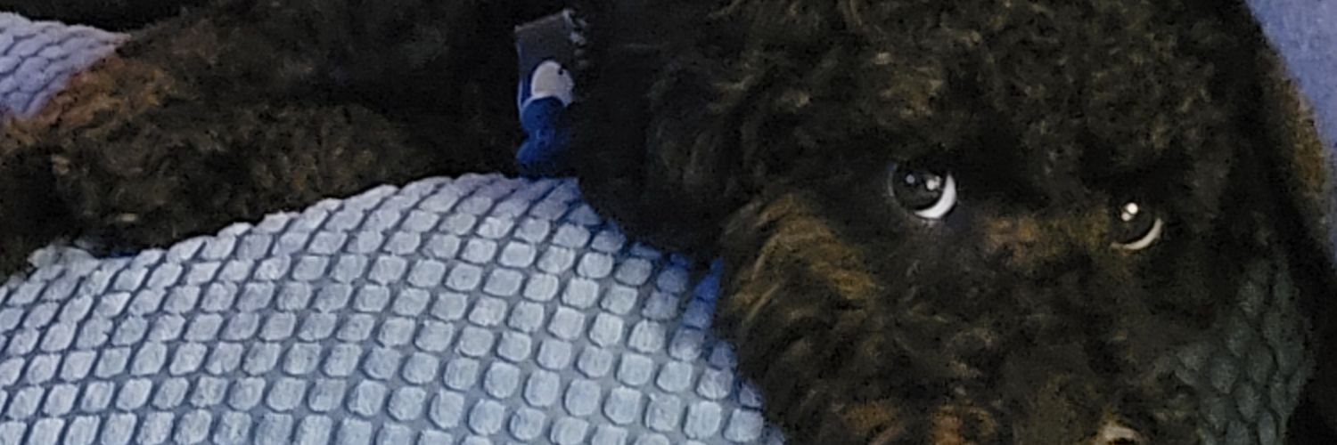 seffb_'s profile banner image