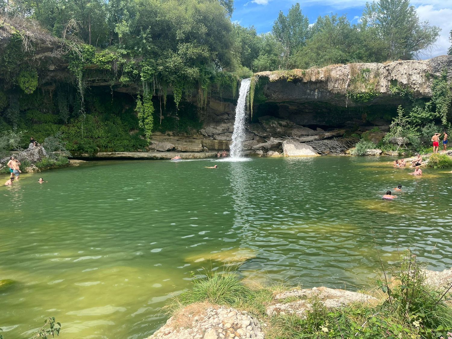 Hibijiro 🌻🍇 banner