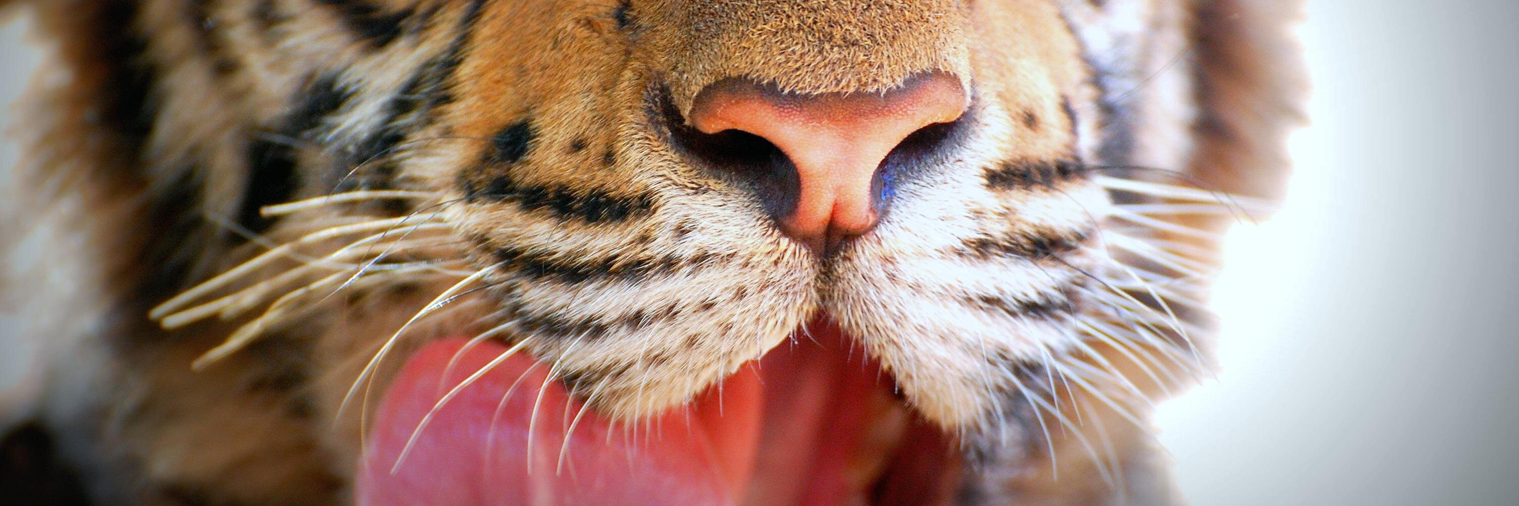 TalleTOPhoto's profile banner image