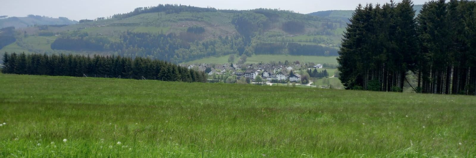 Alberto M. Muñoz 🇪🇸🇩🇪🇨🇭 banner