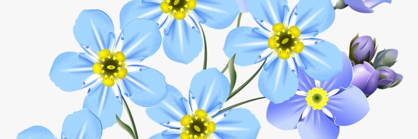 sadlonelytree's profile banner image