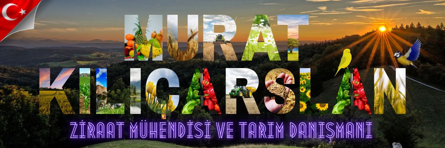 mkilicarslan552's profile banner image