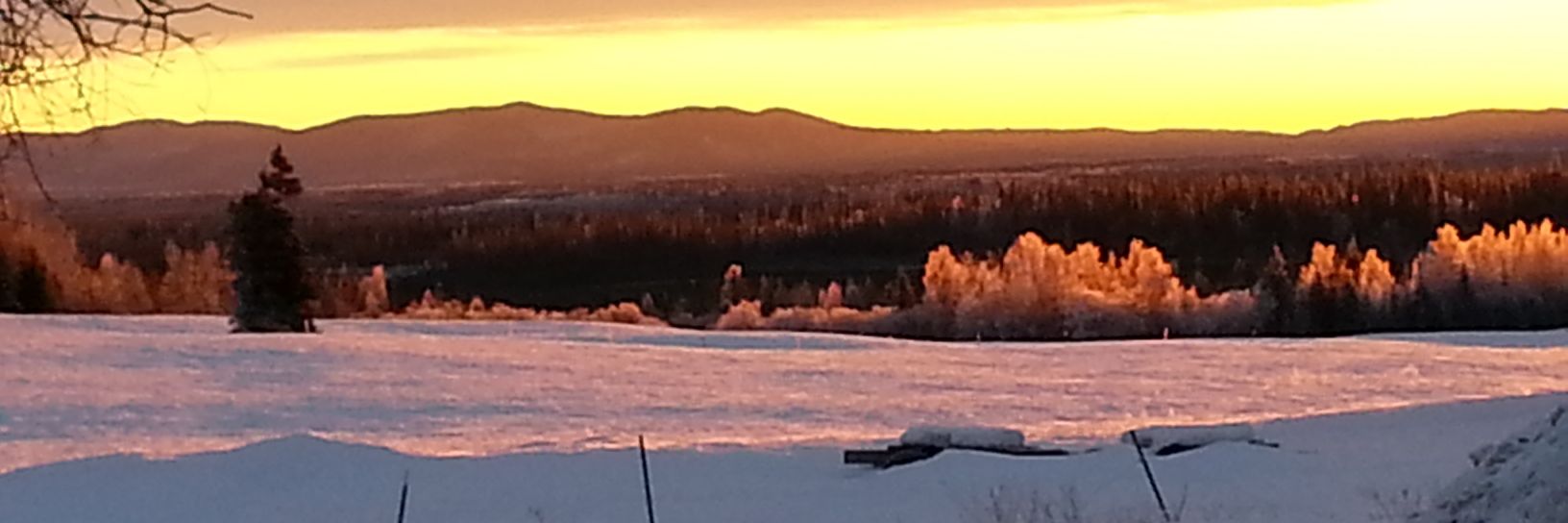 hailey_mcnabb's profile banner image