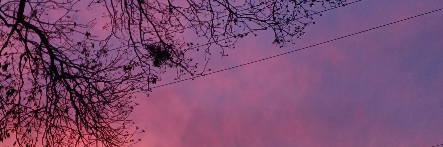 srocha_gui's profile banner image