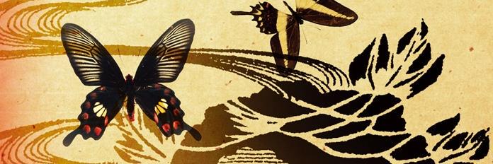 takotmae's profile banner image